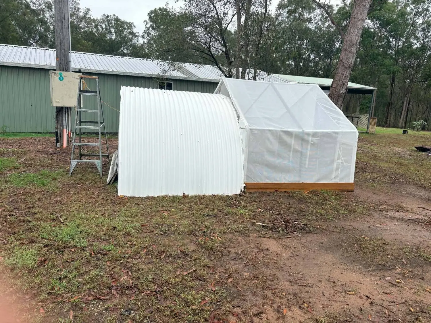 The brooder from the side: a curved white half of a corrugated water tank, joined to a netted carport frame that makes the run